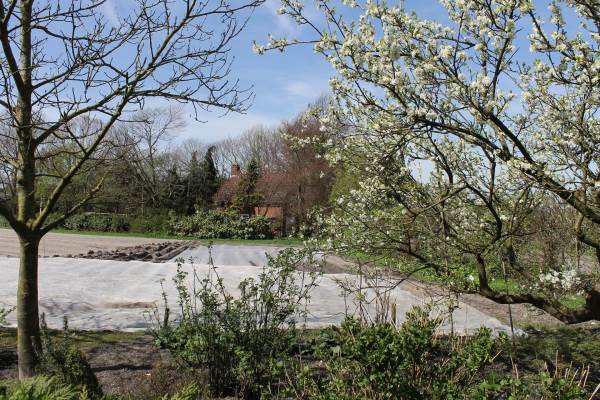 Bouwgrond Oude Antwerpsepostbaan nabij 56 Hoeven