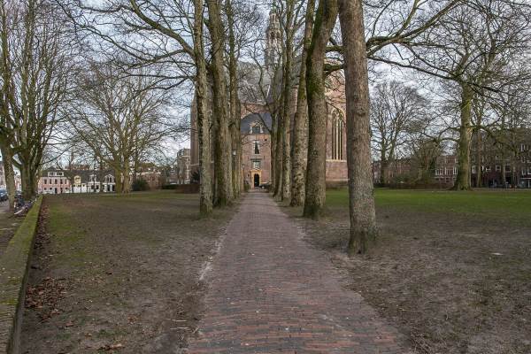 Woning Violenhof 30 Groningen