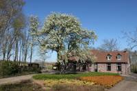 Woning Heltenbosdijk 16 Weert