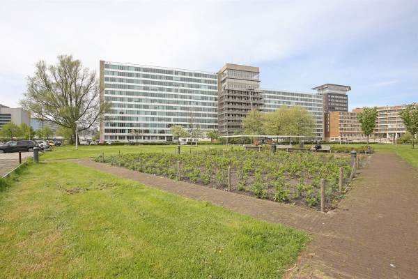 Woning Bos en Lommerplantsoen 29 Amsterdam