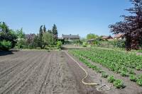 Bouwgrond Julianastraat 6039 Stramproy