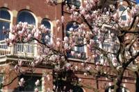 Woning Johan van Oldenbarneveltlaan 30 Den Haag