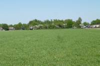 Bouwgrond Langedijk 7913 Hollandscheveld