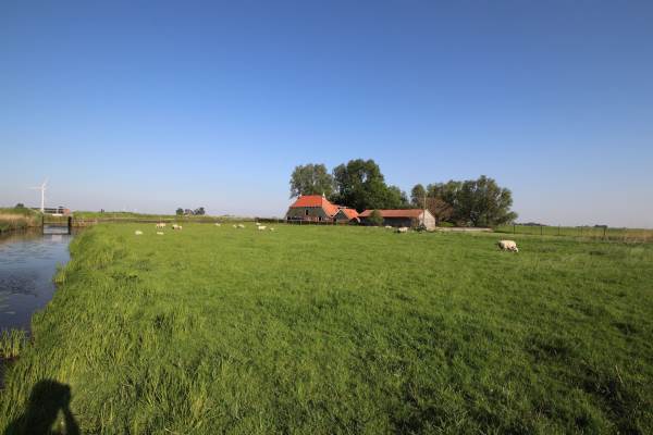Woning Slachte 1 Kûbaard