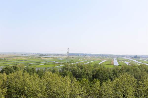 Woning Pharus 241 Zaandam