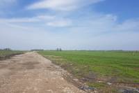 Bouwgrond Wilgenweg 2641 Pijnacker