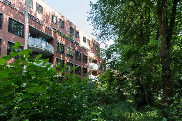 Woning Suze Groenewegplantsoen 46 Amsterdam