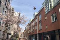 Woning Passeerdersstraat 51 Amsterdam