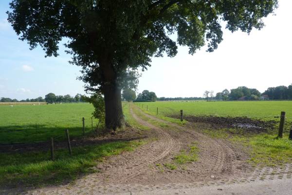 Bouwgrond Rouweweg 7679 Langeveen