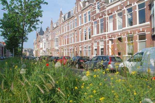 Woning Groot Hertoginnelaan 134 Den Haag