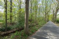 Bouwgrond wilhelminalaan 5062 Oisterwijk