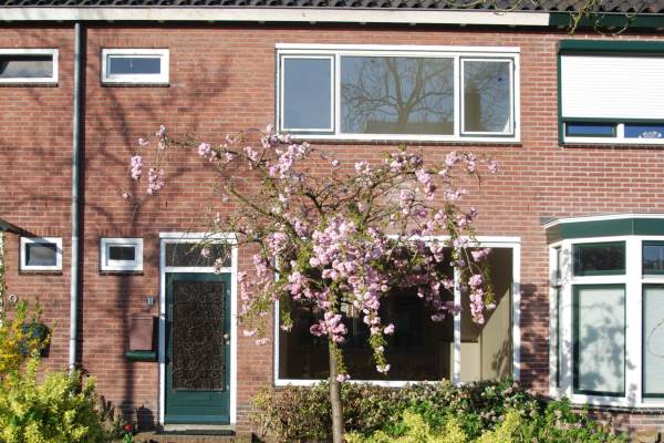Woning Robijnstraat 11 Nijmegen