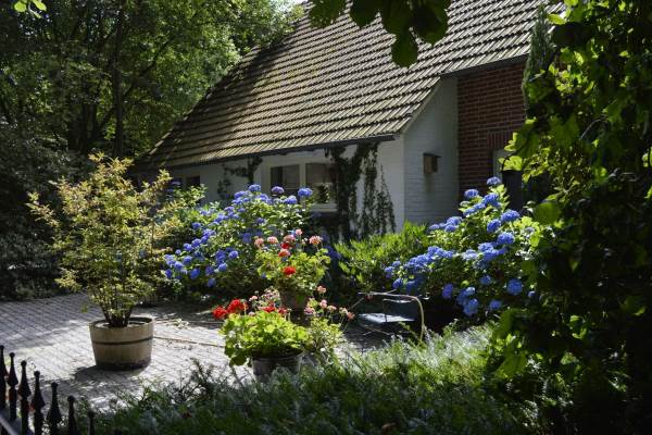 Woning Klemstrook 2 Zwartemeer