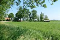 Woning Westerein 3 Wjelsryp