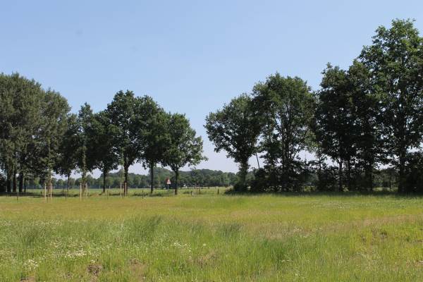 Bouwgrond Drie&# 2 Kootwijkerbroek