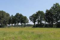 Bouwgrond Drie&# 2 Kootwijkerbroek