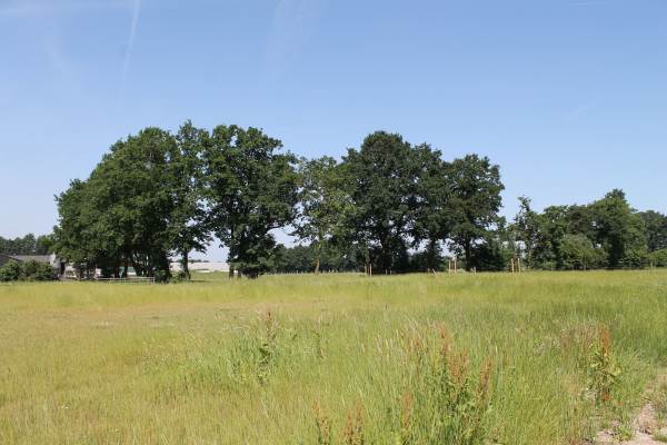 Bouwgrond Drie&#2 3 Kootwijkerbroek