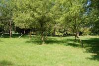 Bouwgrond Loyolalaan 34 Vught