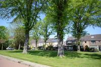 Woning Jan van Bergenstraat 9 Heemskerk