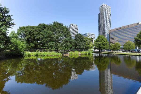 Woning Bezuidenhoutseweg 65 Den Haag