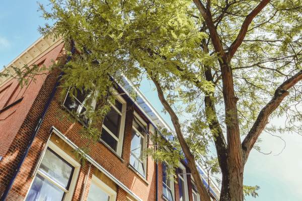 Woning  Rotterdam