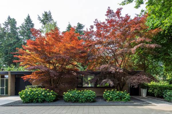 Woning Professor Gimbrèrelaan 140 Tilburg