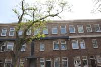 Woning Van Musschenbroekstraat 102 Den Haag
