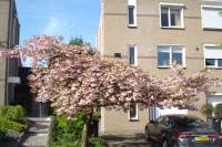 Woning Hazelaar 55 Brunssum