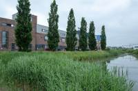 Woning Herman Broodstraat 13 Assen