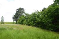 Bouwgrond Halsterseweg 18 Lepelstraat