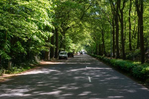 Bouwgrond seweg A 2114 Vogelenzang