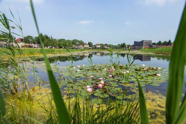 Woning Binnenhof 34 Sappemeer