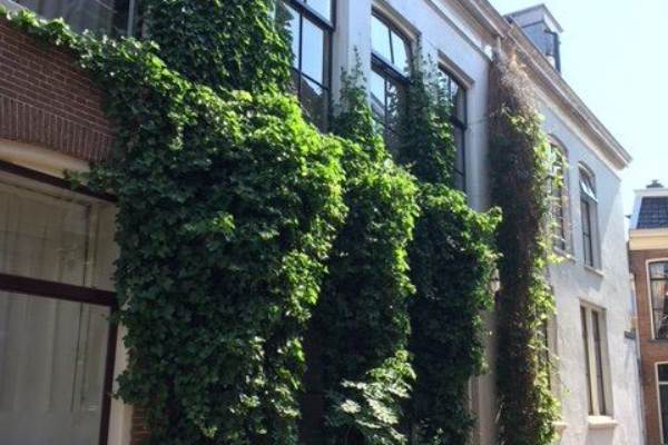 Woning Grote Kerkstraat 216 Leeuwarden