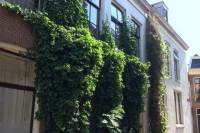 Woning Grote Kerkstraat 216 Leeuwarden