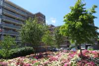 Woning Sirtemastraat 227 Den Haag