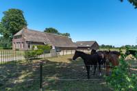 Woning Bloemberg 28 Veeningen