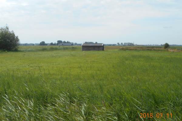 Bouwgrond Wolddijk 89 Zuidwolde Gn