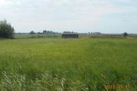 Bouwgrond Wolddijk 89 Zuidwolde Gn