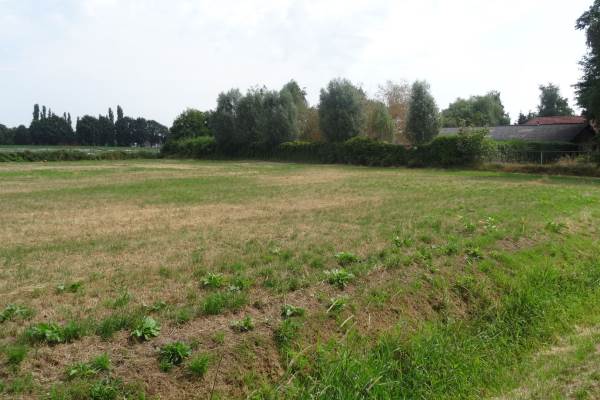 Bouwgrond Groenestraat 4849 Dorst