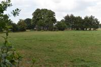 Woning Lange Veenteweg 11 Epe