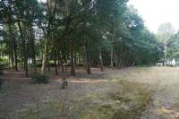 Bouwgrond Verloorekost 5761 Bakel