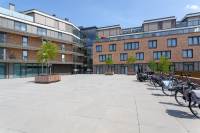 Woning Wilhelminastraat 81 Bergschenhoek