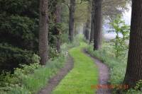 Woning Beukerswijk 107 Hollandscheveld