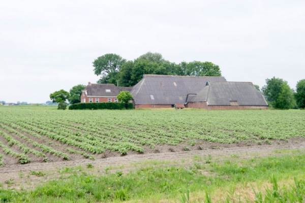 Woning Merumerlaan 1 Garrelsweer