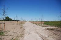 Bouwgrond Kooidieplaan 3299 Maasdam