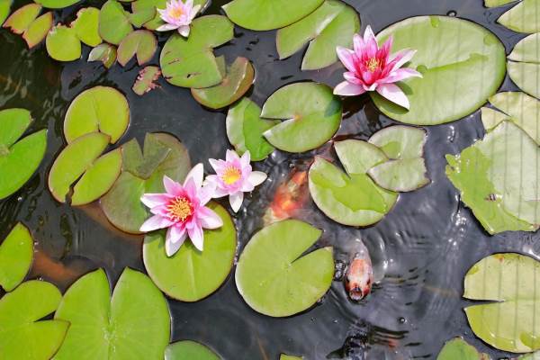 Woning Laarderschans 22 Weert