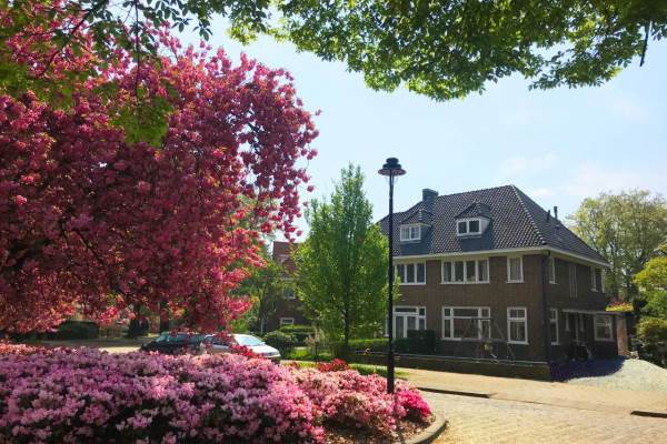 Woning Plein 1813 Arnhem