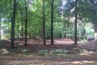 Bouwgrond Duinweg 5 Bosch en Duin