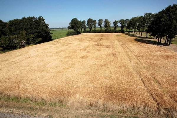 Bouwgrond seweg 54 Anerveen
