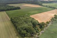 Woning Schipborgerweg 3 Anloo